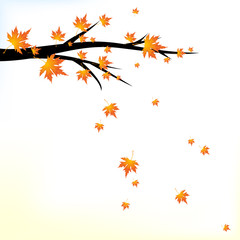 Autumn branch with falling leaves