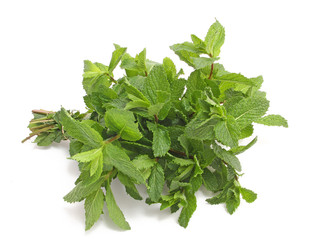 Menthe fraîche