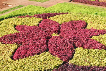 Gartengestaltung