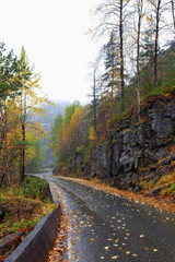 Fototapeta premium Autumn road
