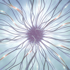 Obraz premium Nerve Cell Pulse