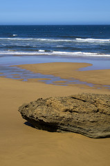 Fototapeta premium Beach