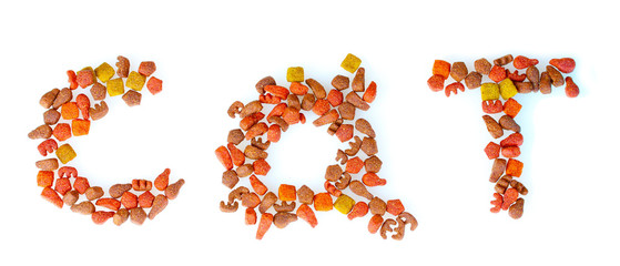 Dry cat food isolated on white