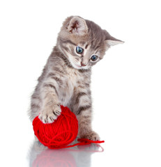 Funny gray kitten and ball of thread isolated on white
