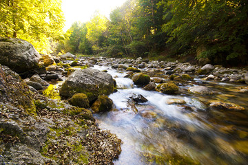 fiume Pesio