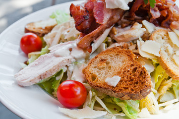 Fresh chicken salad with tomatoes