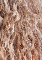 Fototapeta premium Blonde hair.