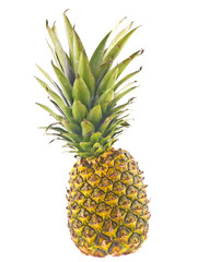 ripe pineapple isolated on white background
