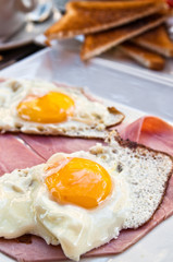 Fototapeta premium Prepared Egg - prepared egg under the sun