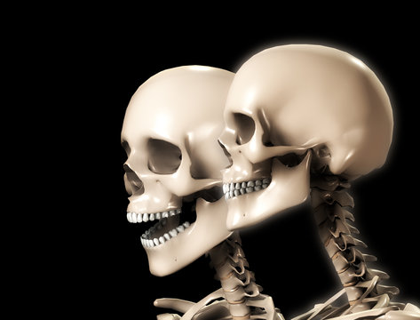 Two Skull Heads