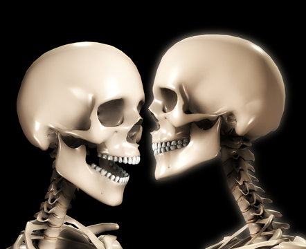 Two Skull Heads
