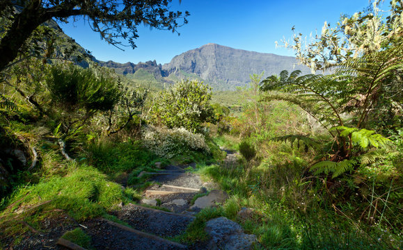 Sentier dans le Cirque de Mafate - La R&eacute;union