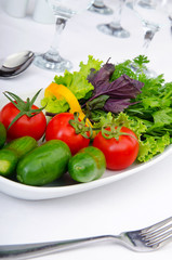 Cucumber and tomato salad in plate
