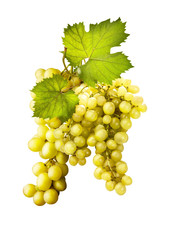 grappolo di uva con foglie