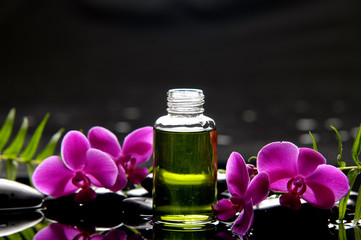 Spa still life essential oil and fern with orchid