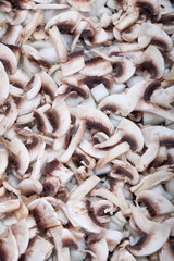 Fresh organic field mushrooms