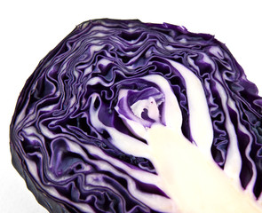 Fototapeta premium Detail of red cabbage