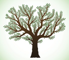Obraz premium Tree illustration