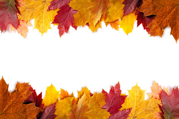 Autumn leaves