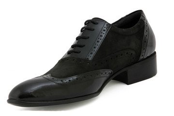 shoe
