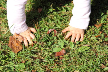 Kleinkind krabbelt © lagom