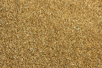 Wheat