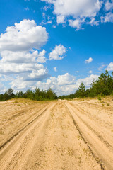 Fototapeta premium path in sands