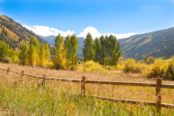 Fototapeta na wymiar Jesień w Dolinie Colorado