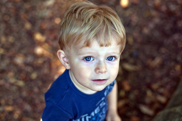 adorable baby boy with blond hairs and blue eyes