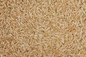 Thai rice grain