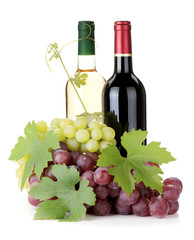 Fototapeta na wymiar Two wine bottles and grapes