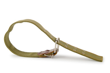Obraz premium Dog collar isolated on the white background
