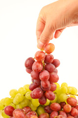 Female hands holding fresh grapes