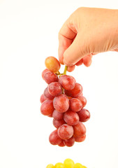 Female hands holding fresh grapes