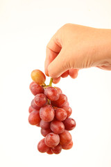 Female hands holding fresh grapes