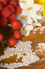 Fototapeta premium Globuli mit Jasmin Beeren und Blume