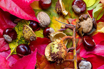 Herbstzeit