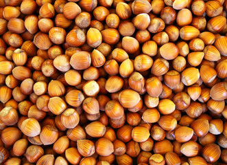 Hazelnuts