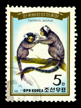 NORTH KOREA - CIRCA 1985