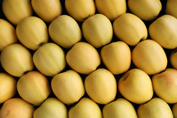 Apples