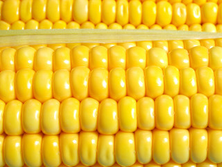 Yellow corn