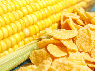 Corn flakes and corn closeup