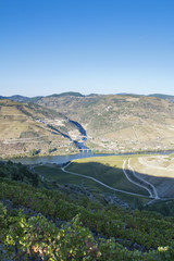 Fototapeta na wymiar Where Tua river meet the Douro