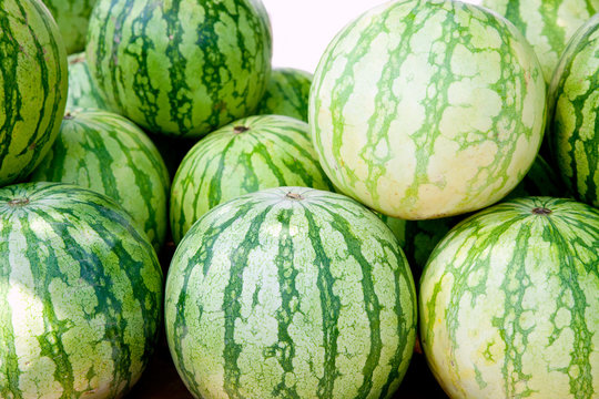freen seed less watermelon in market