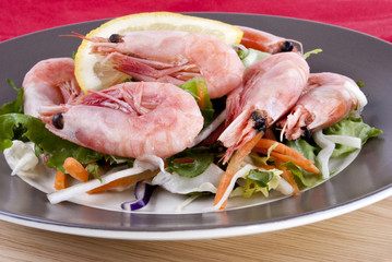 Garnelen mit einer Zitronenscheibe und Salat auf einem Teller