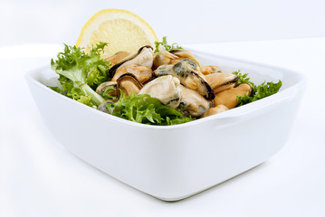 Gekochte Muscheln mit Zitrone auf frischem Salat in einer weiße