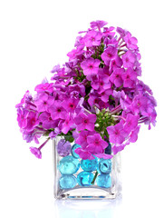 beautiful flowers in vase with hydrogel isolated on white