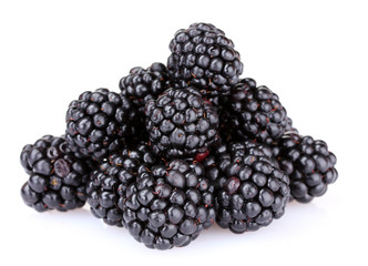 beautiful blackberries isolated on white