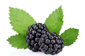 beautiful blackberries isolated on white