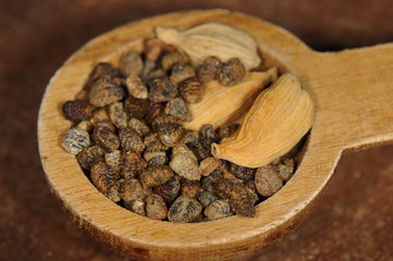 Cardamom seeds